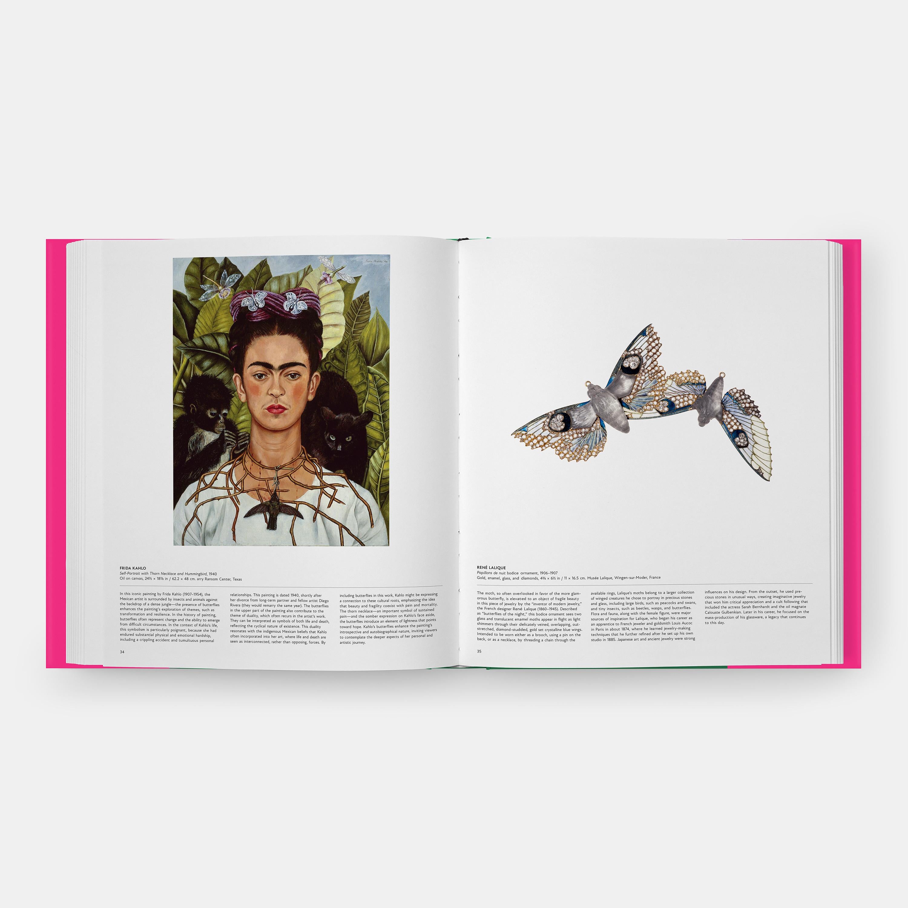 Papillon Explorer le monde des lépidoptères en vente 4