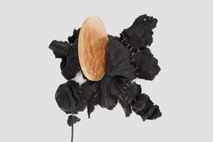 Scontrino a farfalla di Eduard Locota, ordine speciale per Lucinda