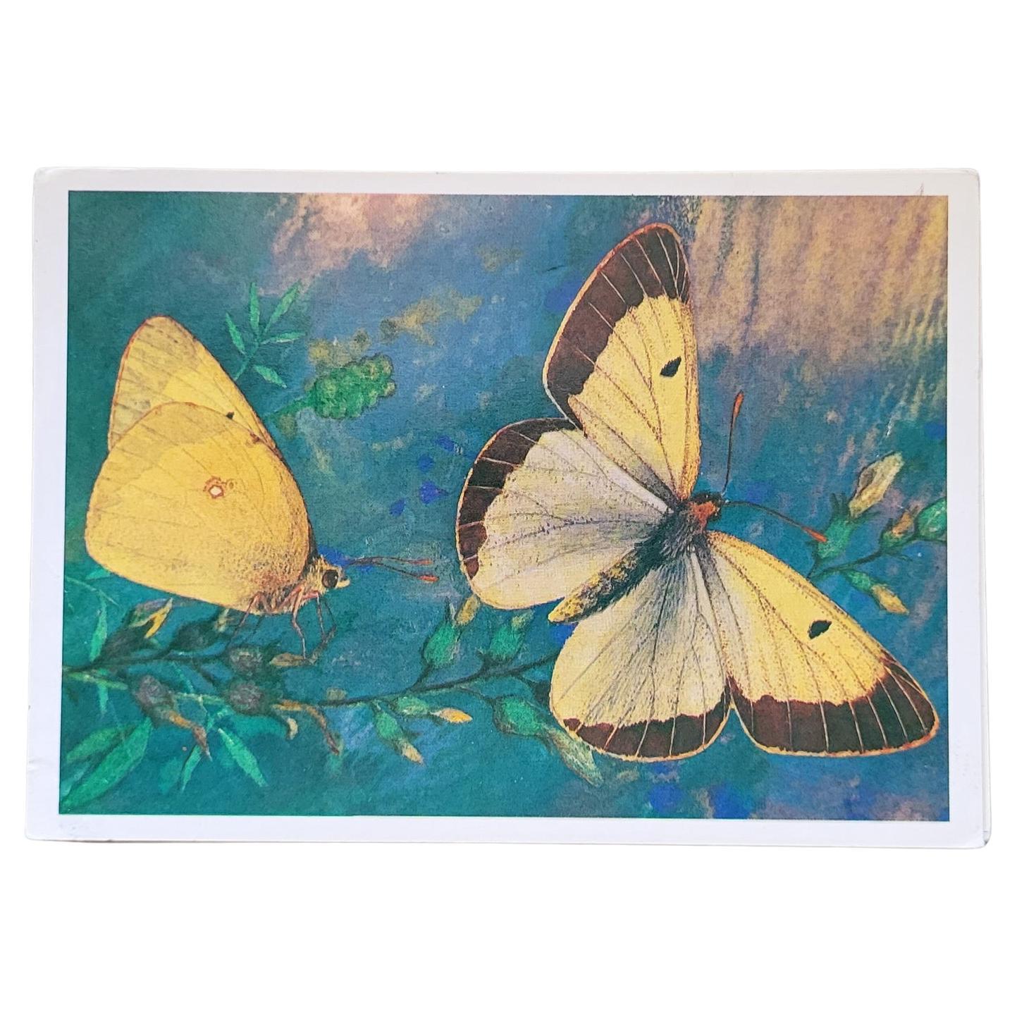 "Butterfly Splendor: Vintage USSR Postcards, 15 Exquisite Species, 1J19