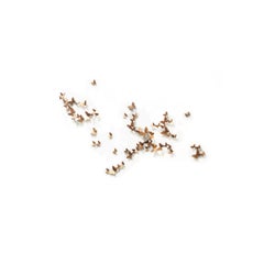 Butterfly Wall Sculpture, Horizontal Flight, Large