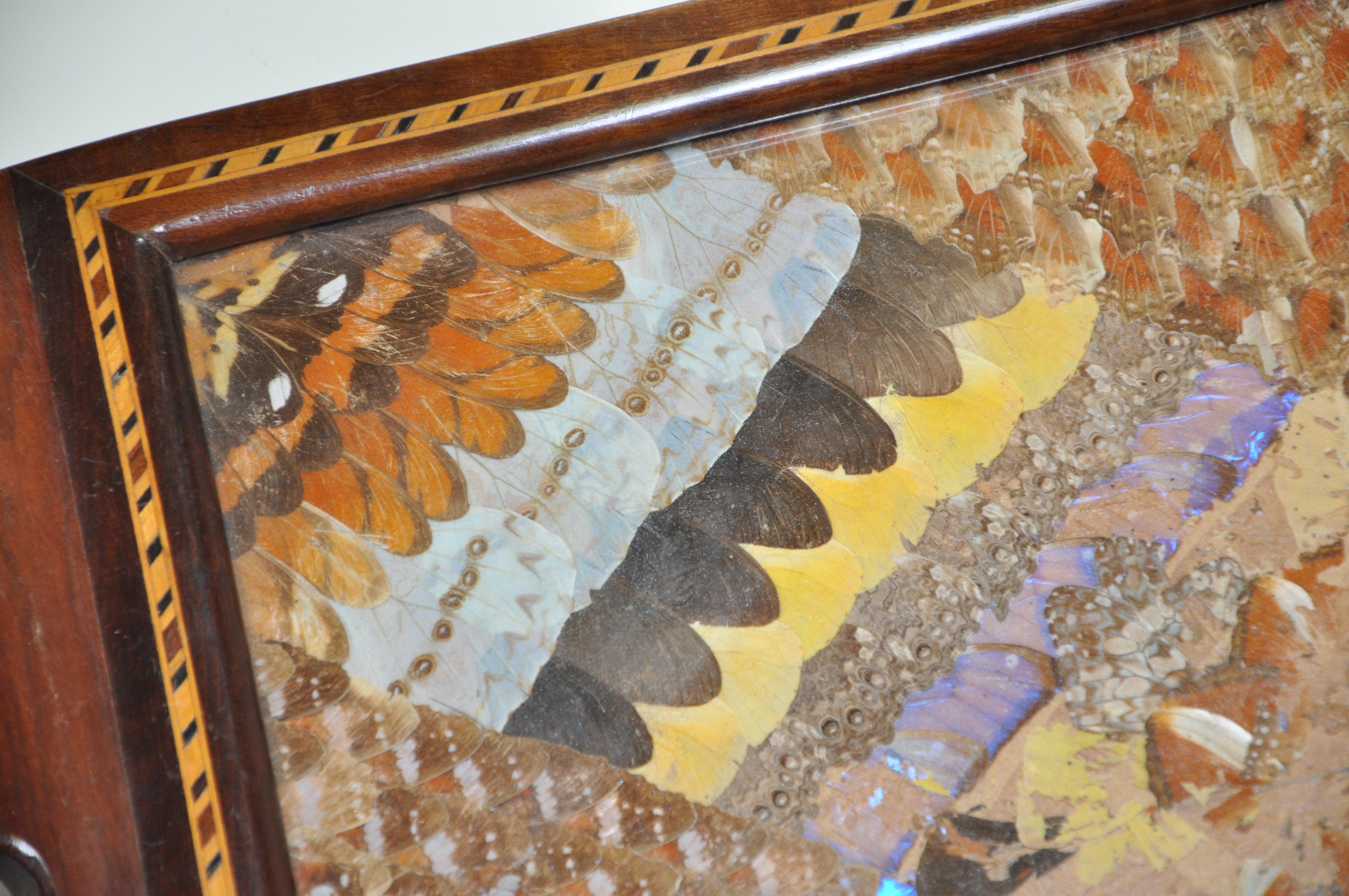 Hand-Crafted Butterfly Wing and Inlaid Wood Tray