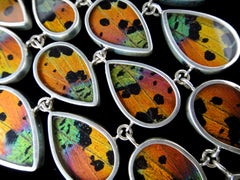 Butterfly Wing Necklace "Sunset Moth"