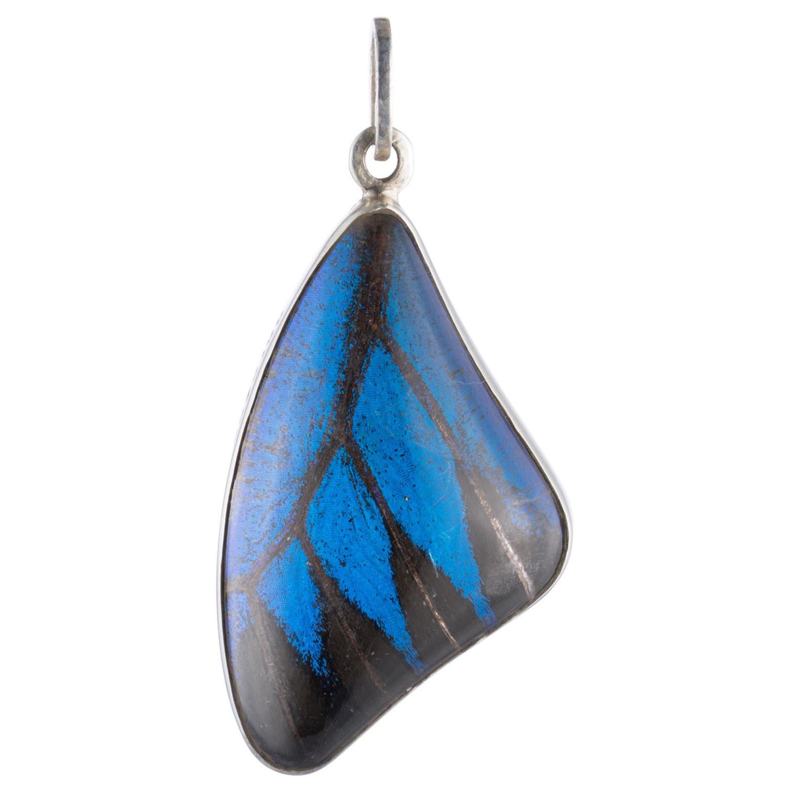 Butterfly Wing, Rock Crystal and Sterling Silver Pendant