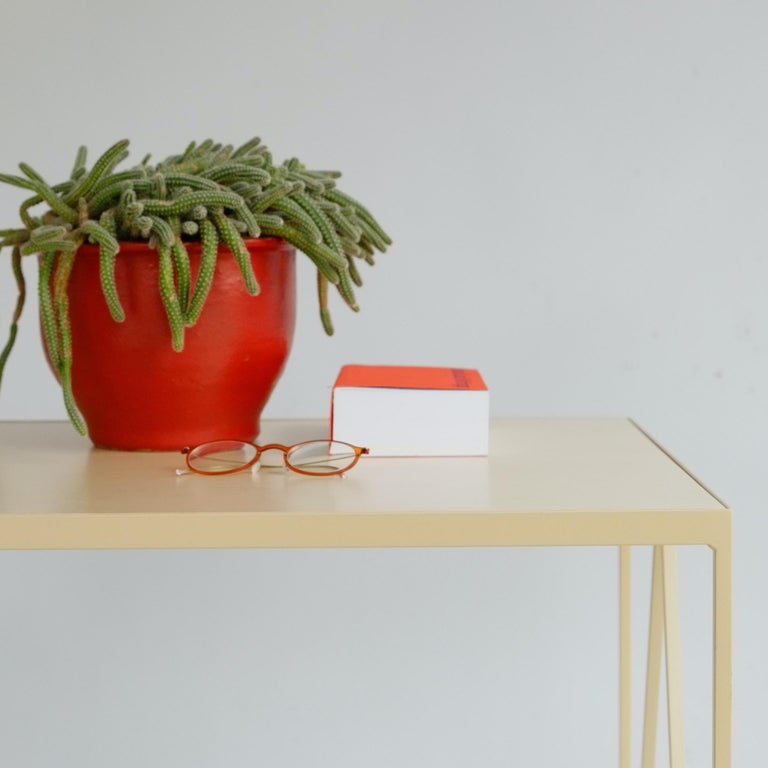 Butternut Study Desk with Birch Plywood Table Top, Customizable For