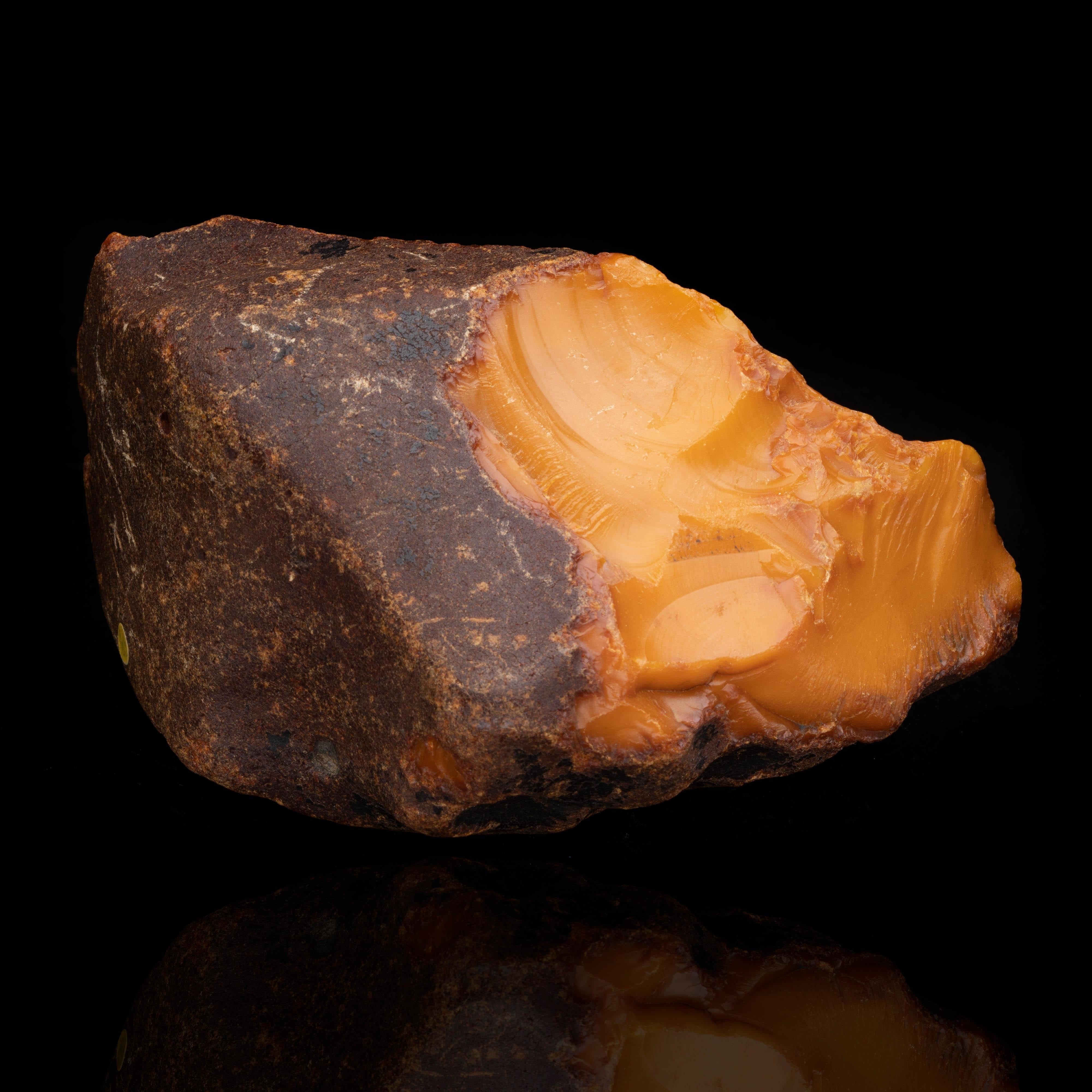 Ukrainian Butterscotch Amber // 34-55 Myo 'Eocene' // 385 Grams