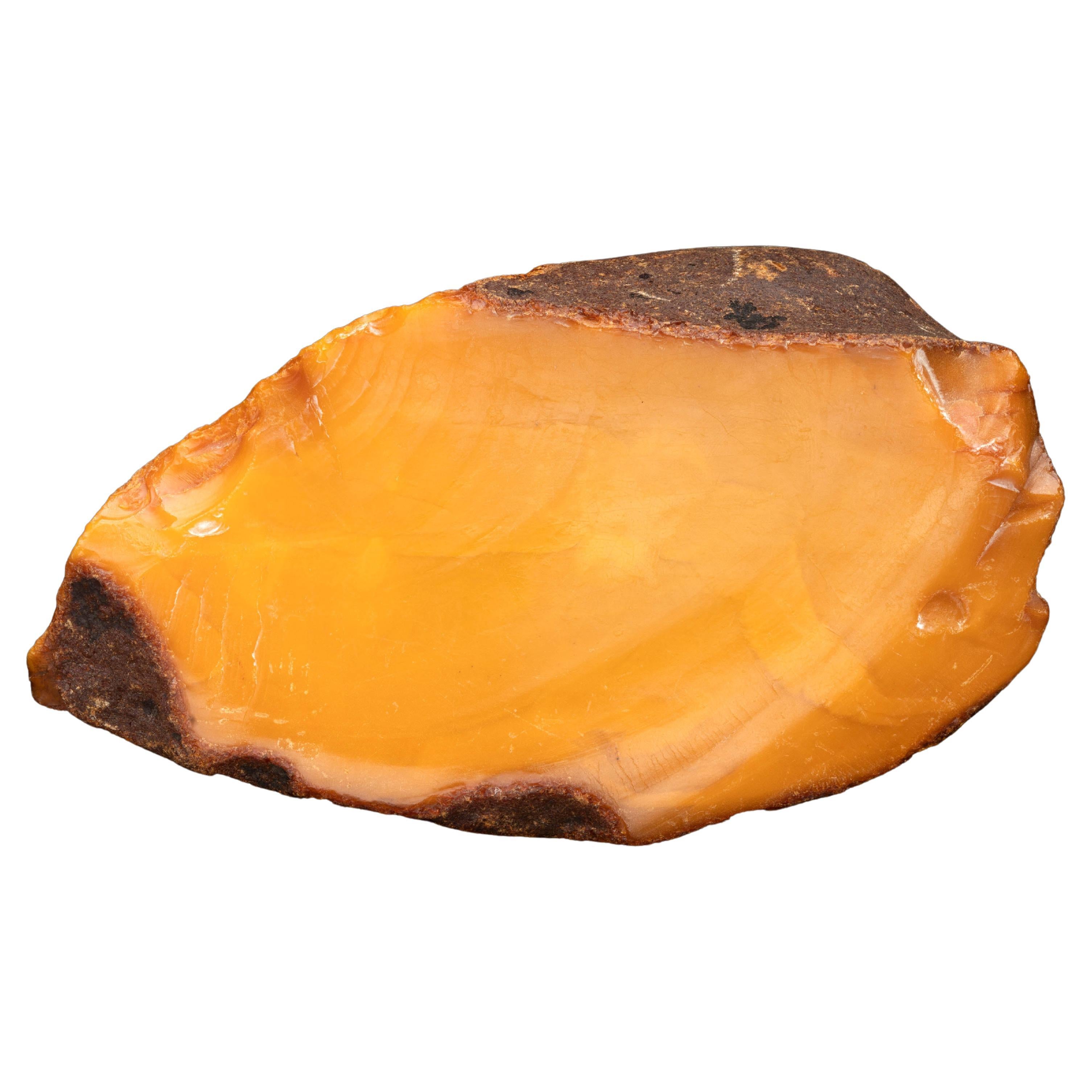 Butterscotch Amber // 34-55 Myo 'Eocene' // 385 Grams