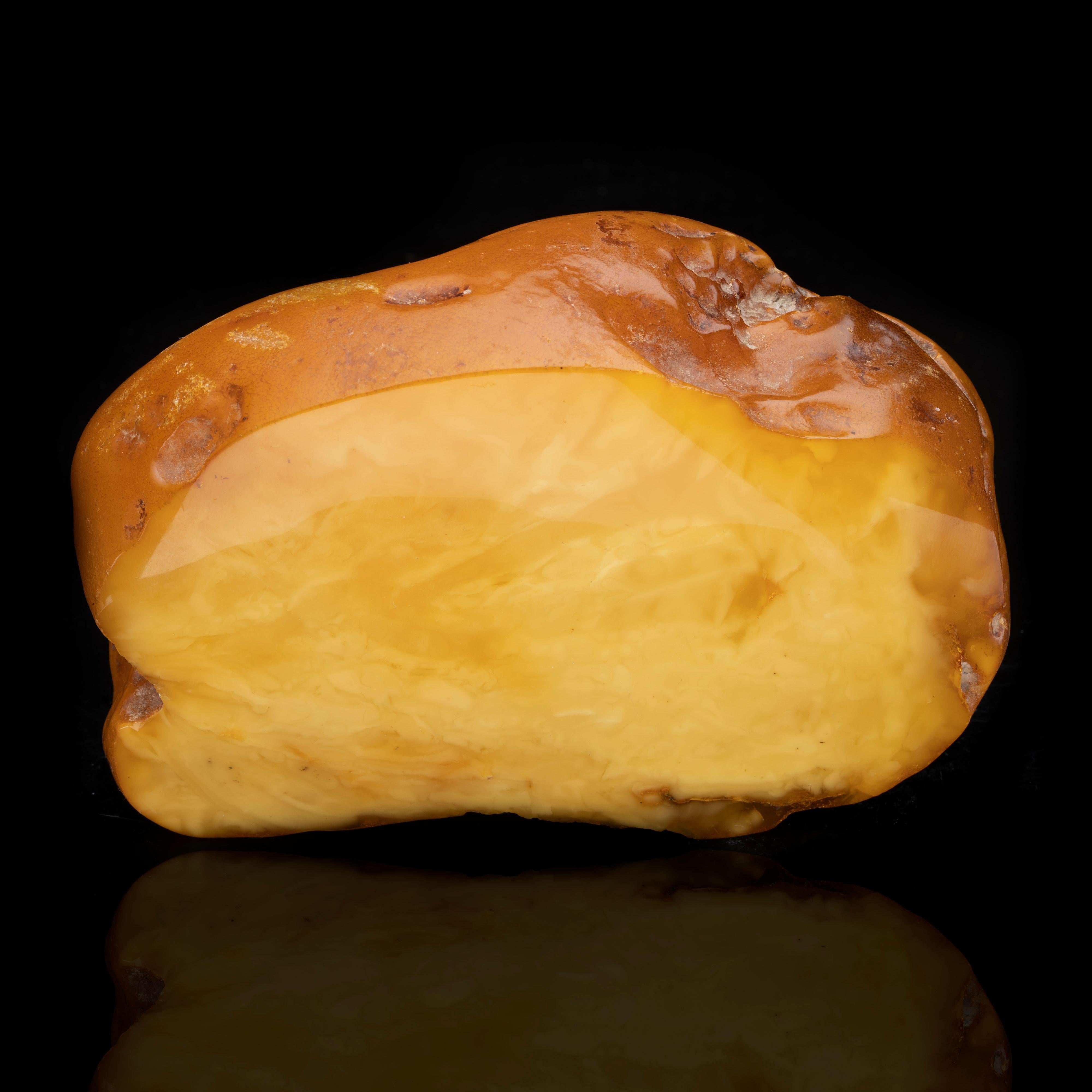 Baltic Region

Amber is fossilized tree resin, which has been appreciated for its color and natural beauty since Neolithic times. This is an unusually large specimen of butterscotch amber from the Baltic Region. One side is hand-polished; the other