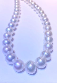 Button White Pink High Luster Australian South Sea Pearl 35pcs