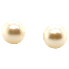 Button Pearl Stud Earrings 6.5mm Yellow Gold
