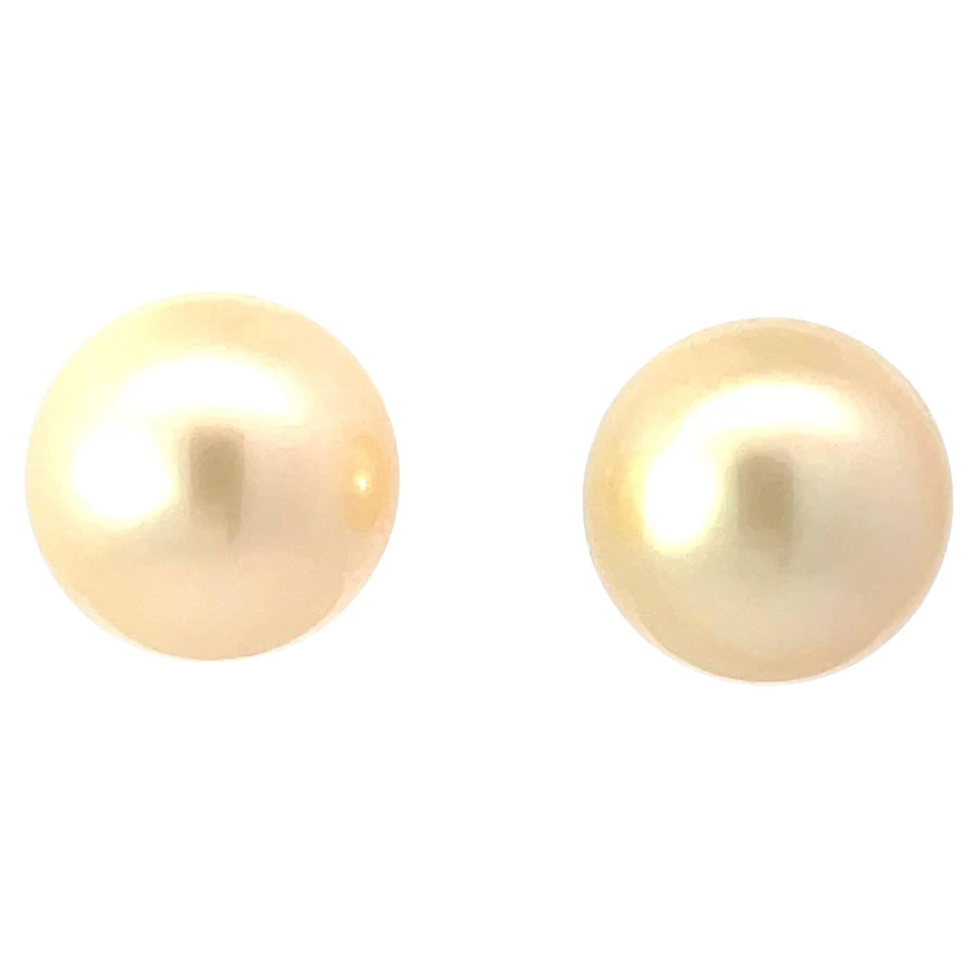 Button Shaped Gold South Sea Pearl Stud Earrings in 18K Yellow Gold