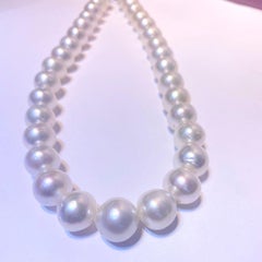 Button White South Sea Pearl 33pcs