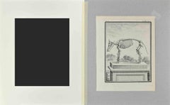 Animal Skeleton - Etching by Buvée l'Américain - 1771