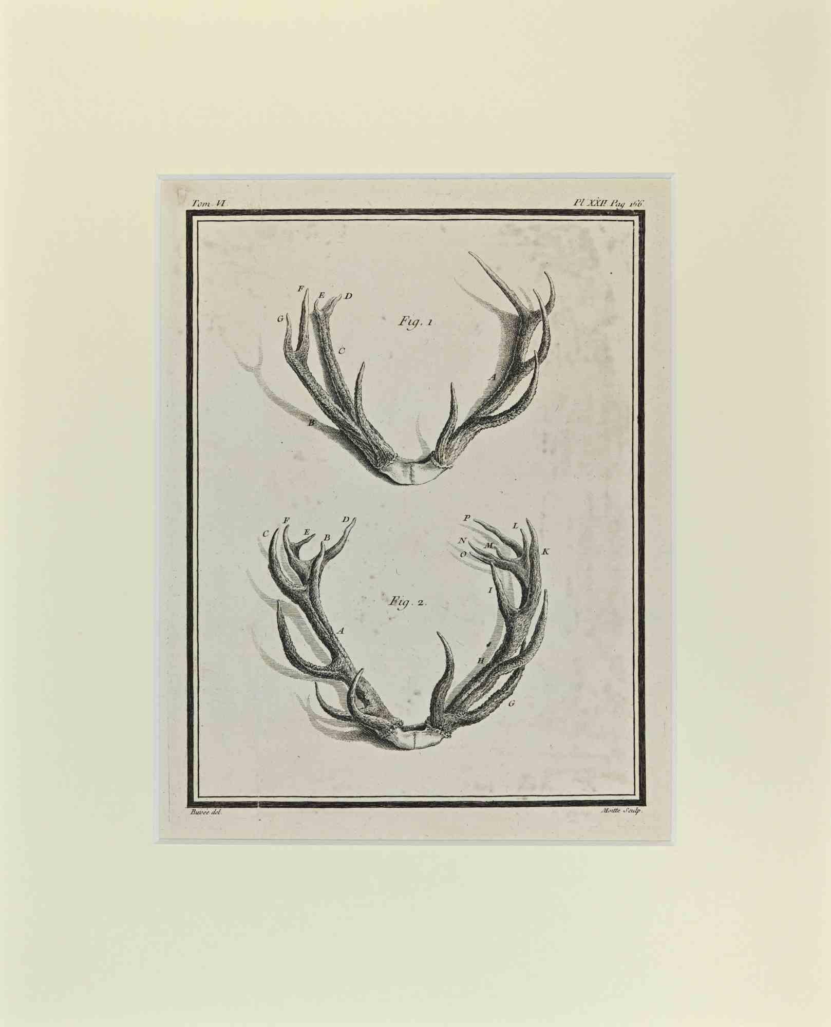 Cornamentas ist ein Kunstwerk von Buvée l'Américain aus dem Jahr 1771.  

Radierung B./W. Druck auf Elfenbeinpapier. Signiert auf der Platte am unteren linken Rand.

Das Werk ist auf Karton geklebt. Abmessungen insgesamt: 35x28 cm.

Das Kunstwerk