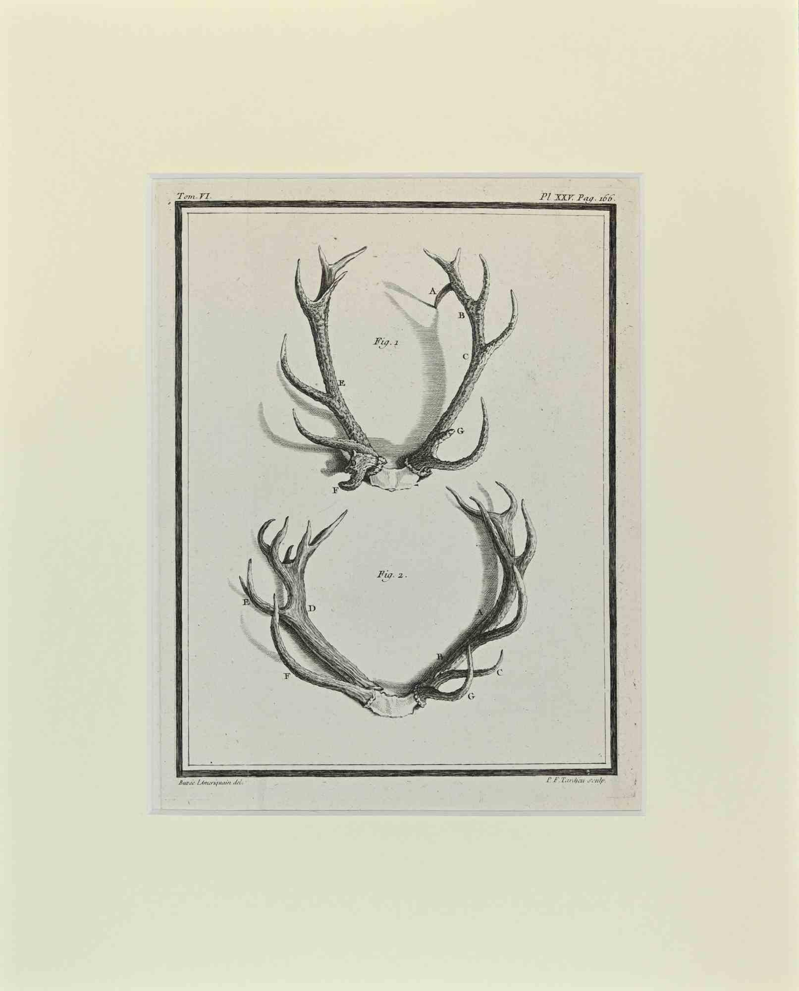 Cornamentas is an artwork realized  by  Buvée l'Américain in 1771.  

Etching B./W. print  on ivory paper. Signed on  plate on the lower left margin.

The work is glued on cardboard. Total dimensions: 35x28 cm.

The artwork belongs to the suite