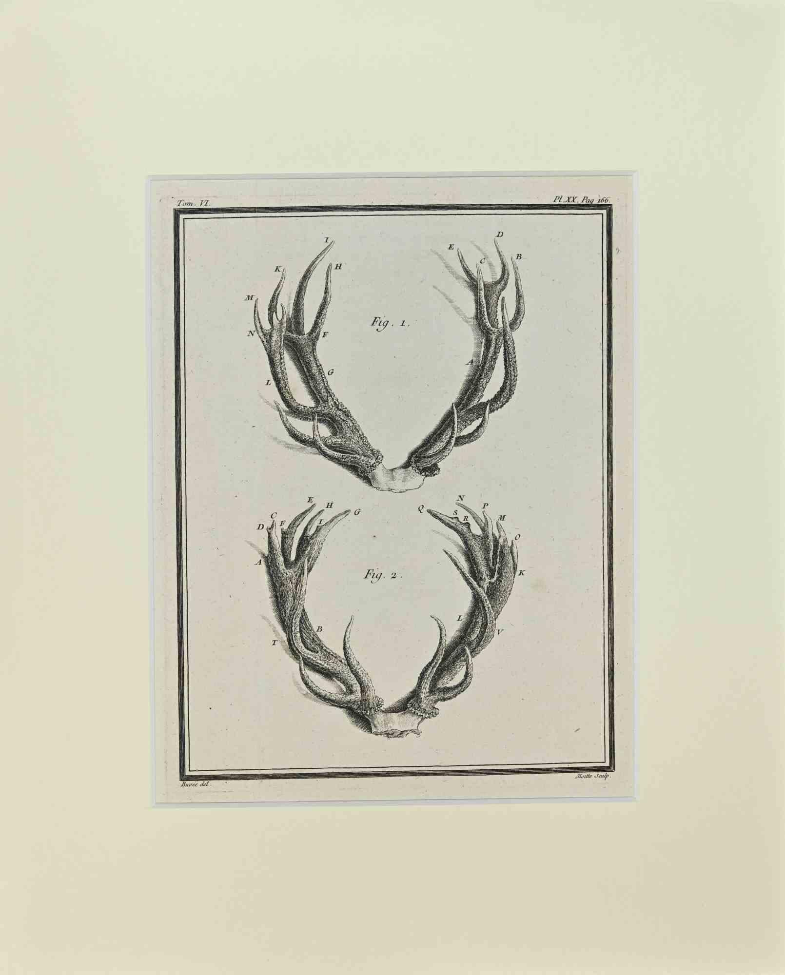 Cornamentas ist ein Kunstwerk von Buvée l'Américain aus dem Jahr 1771.  

Radierung B./W. Druck auf Elfenbeinpapier. Signiert auf der Platte am unteren linken Rand.

Das Werk ist auf Karton geklebt. Abmessungen insgesamt: 35x28 cm.

Das Kunstwerk