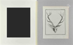 Cornes de cerf - Gravure de Buvée l'Américain - 1771