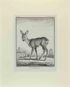 La Chevre - Gravure de Buvée l'Américain - 1771