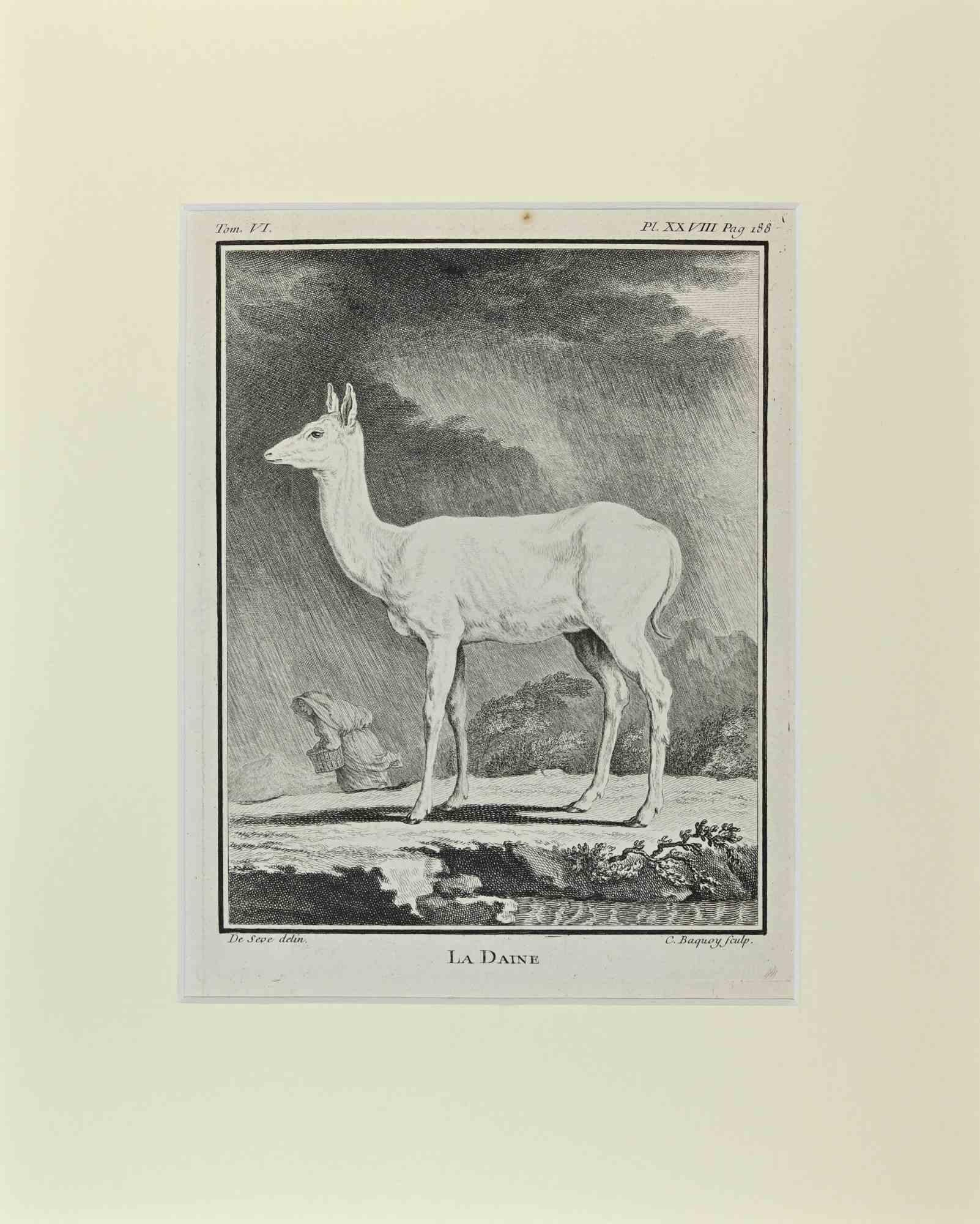 La Daine is an artwork realized  by  Buvée l'Américain in 1771.  

Etching B./W. print  on ivory paper.

The artwork belongs to the suite "Histoire naturelle, générale et particulière avec la description du Cabinet du Roi". Paris: Imprimerie Royale,