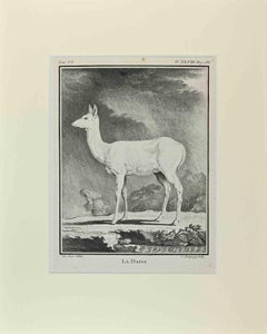 La Daine - Gravure de Buvée l'Américain - 1771