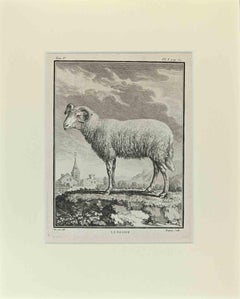 Le Belier - Etching by Buvée l'Américain - 1771