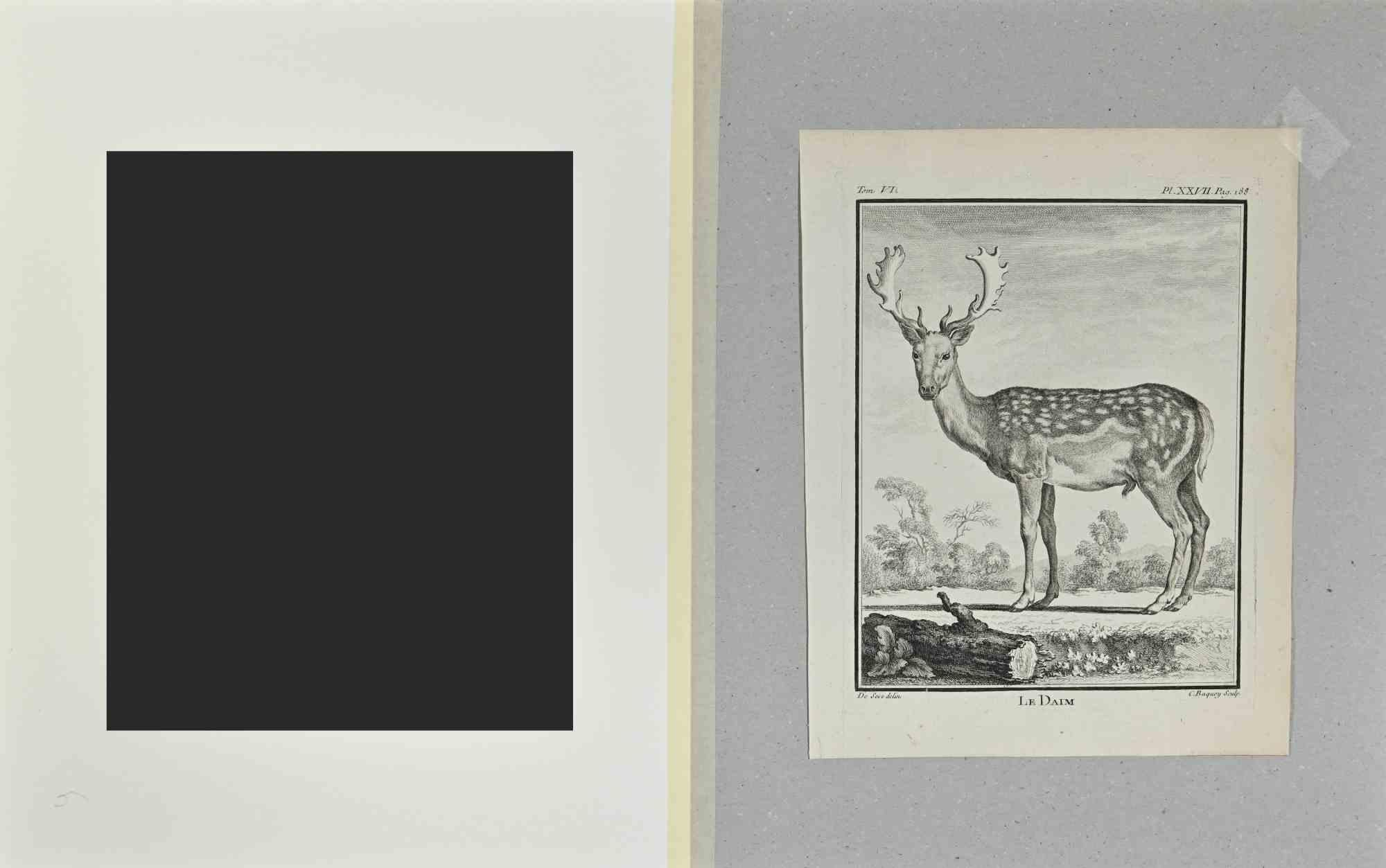 Le Daim - Etching by Buvée l'Américain - 1771 For Sale 1