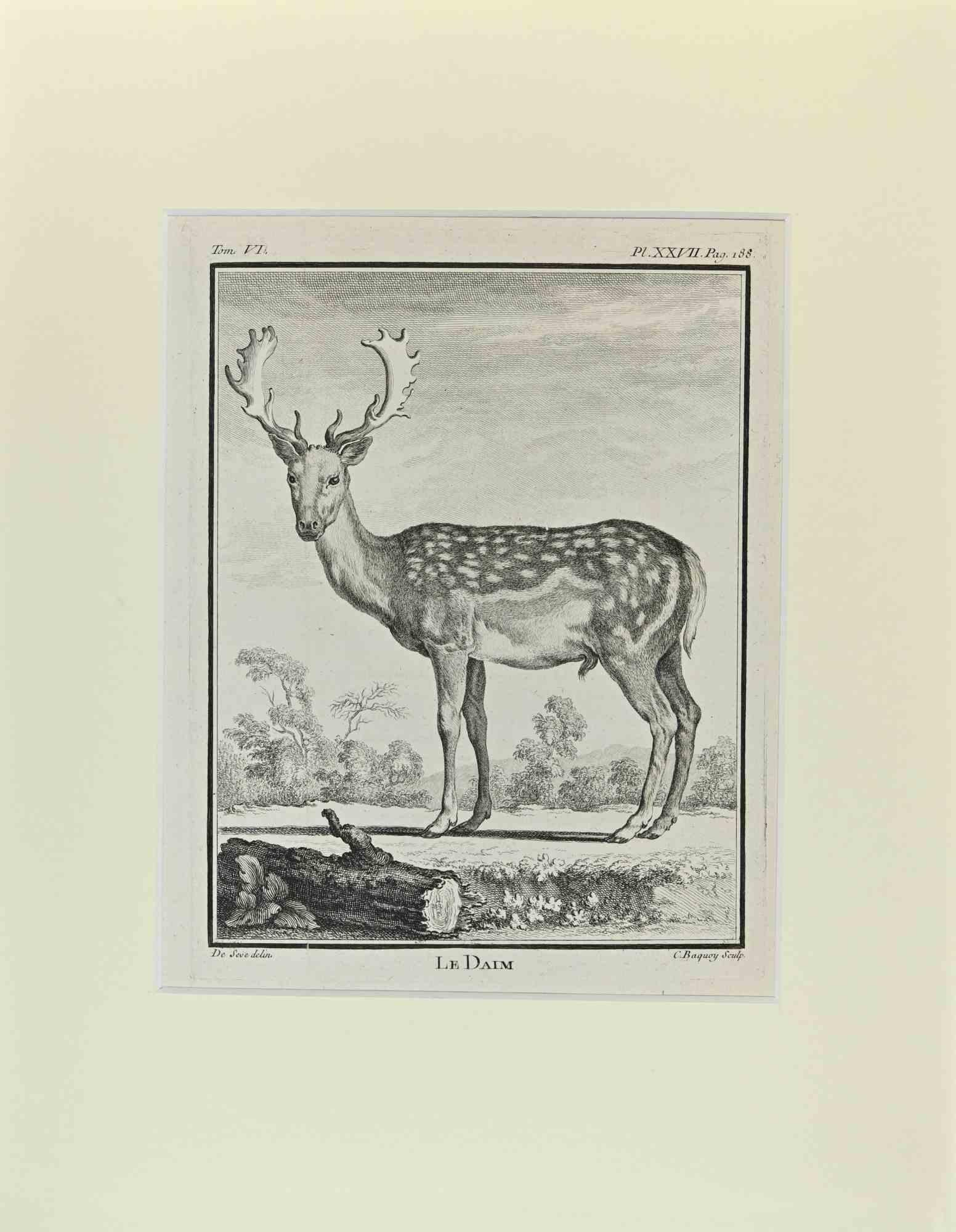 Le Daim is an artwork realized  by  Buvée l'Américain in 1771.  

Etching B./W. print  on ivory paper.

The artwork belongs to the suite "Histoire naturelle, générale et particulière avec la description du Cabinet du Roi". Paris: Imprimerie Royale,