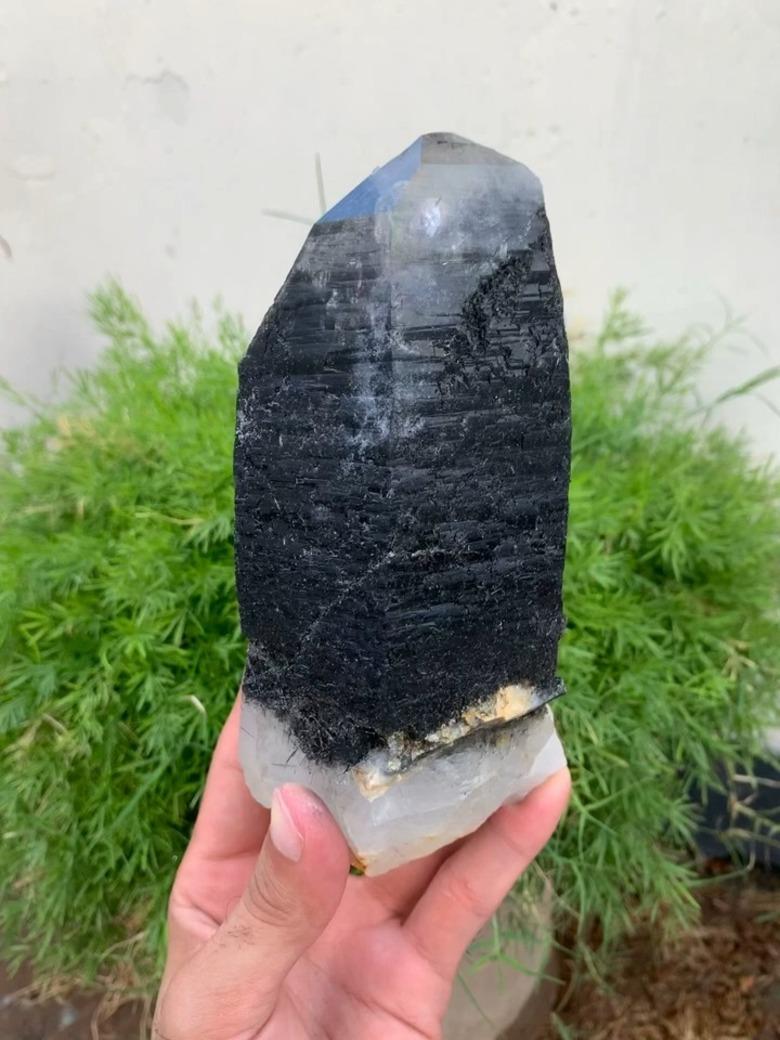 Dim: H: 17 x W: 7.5 x D: 7.2 cm

Wt: 1201 g

Specimen Type: Sculptural Rutilated Quartz with magnificent metallic luster 

Treatment: None 

Color: Black 



Quartz is the most common and existing mineral on the planet but the aesthetic and