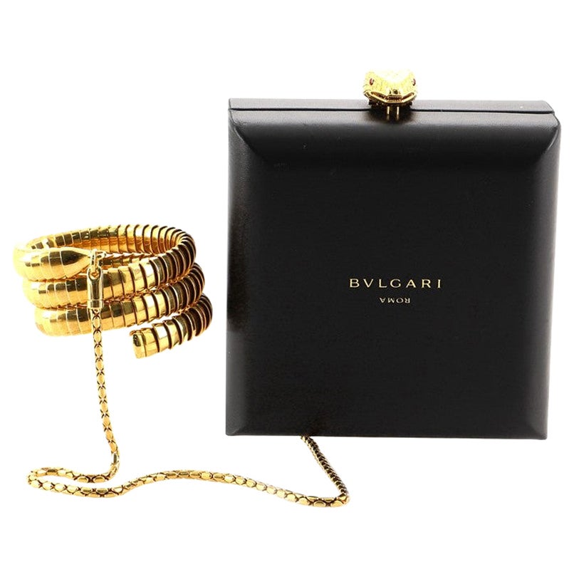 Bvlgari Alexander Wang Minaudiere mit Serpenti Tubogas Armbandband aus Leder