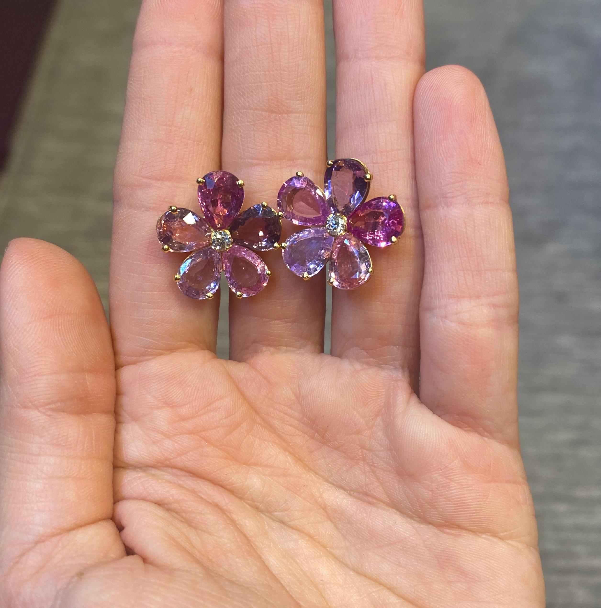 bvla cherry blossom