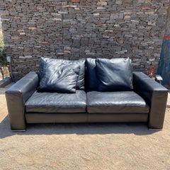 Camerich Company Chic Leather Loveseat Sofa + Comfy Down Feather Wrap Seattle Wa