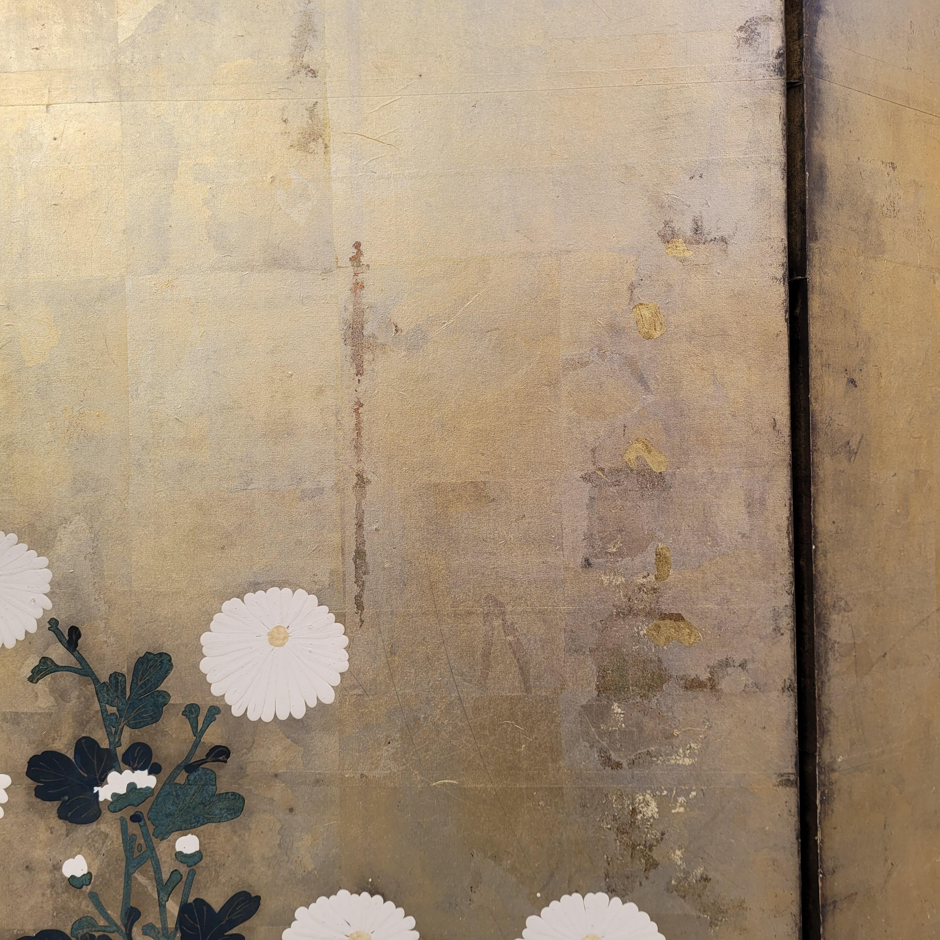 Byôbu Screen 屏風 Chrysanthemums, Rinpa School, Edo / Meiji period For Sale 3