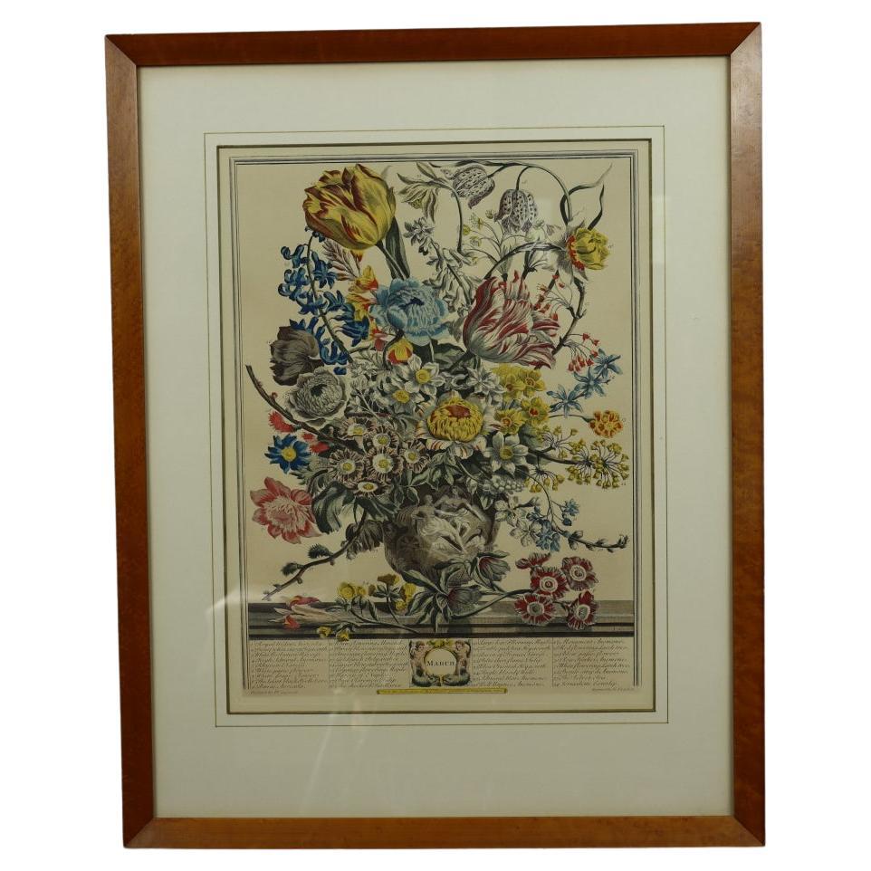 Robert Furber - calendrier floral des mois de mars, gravure colorée à la main par H. Fletcher, vers 1730