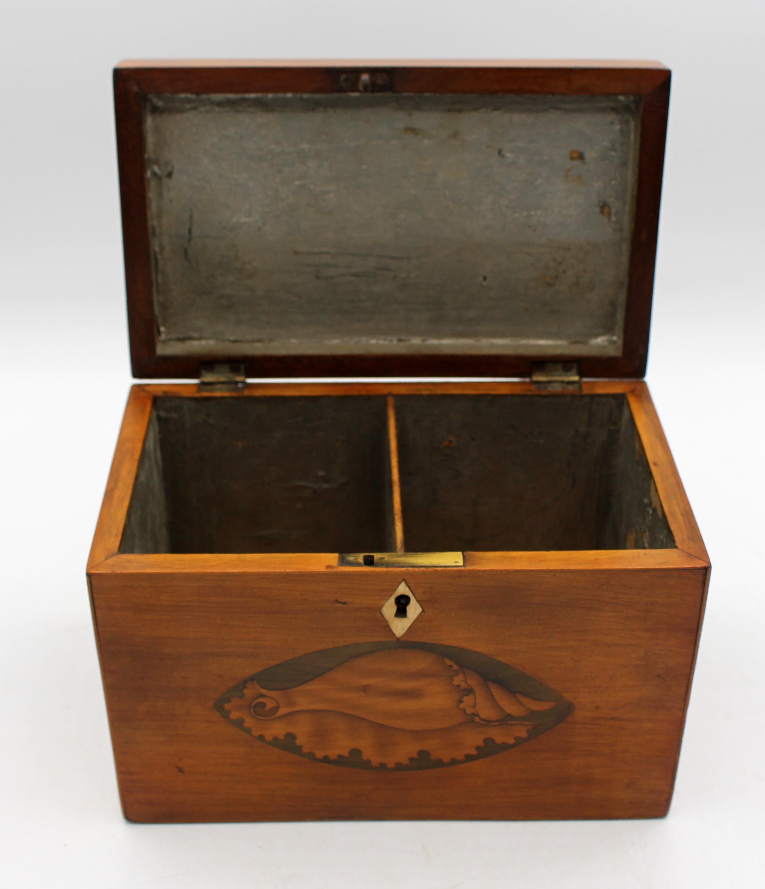 Circa 1820 late Georgian period inlaid tea caddy, English. Mahogany with satinwood & dyed sycamore inlaid shells - artfully scorched & shaded in the large shells for depth. Floating tea well covers. It is always exciting to find differing shells on