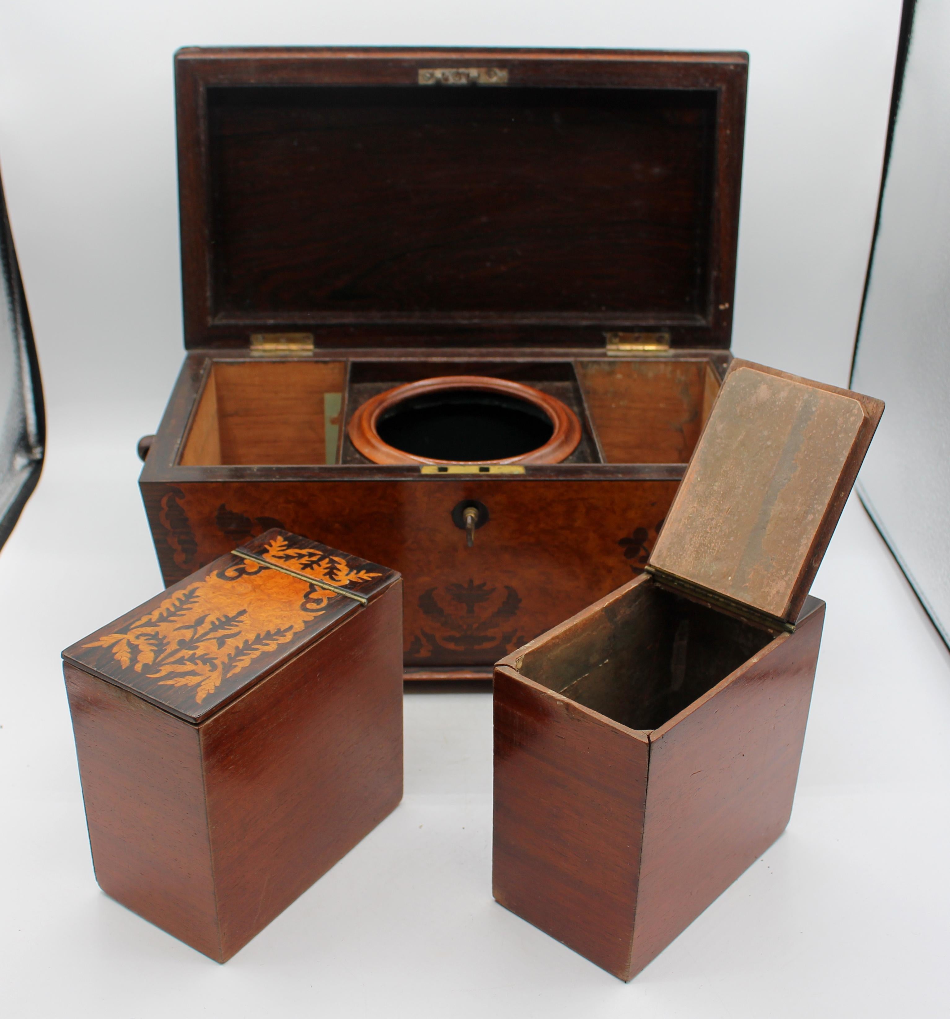 XIX secolo C. 1830 English William IV Period Tea Caddy