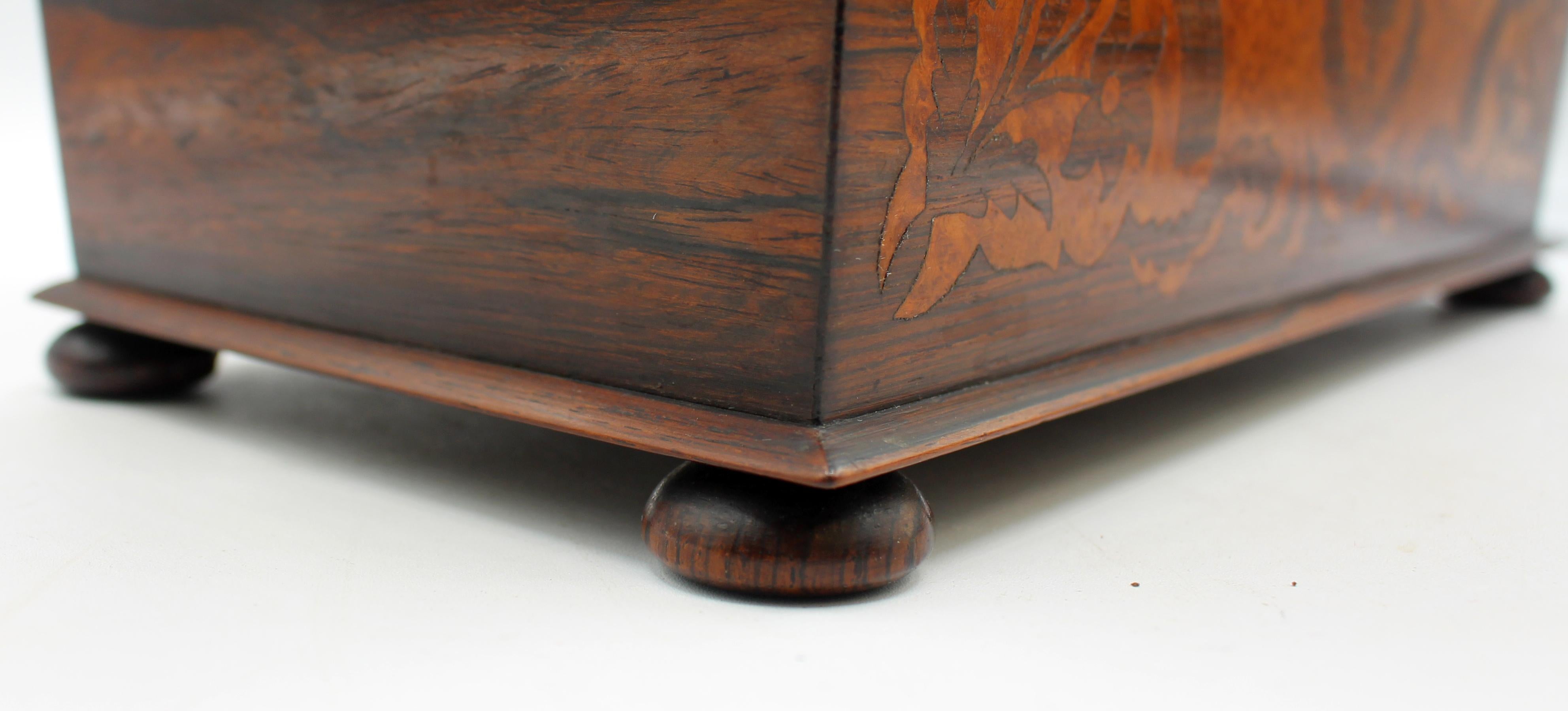 Palissandro C. 1830 English William IV Period Tea Caddy