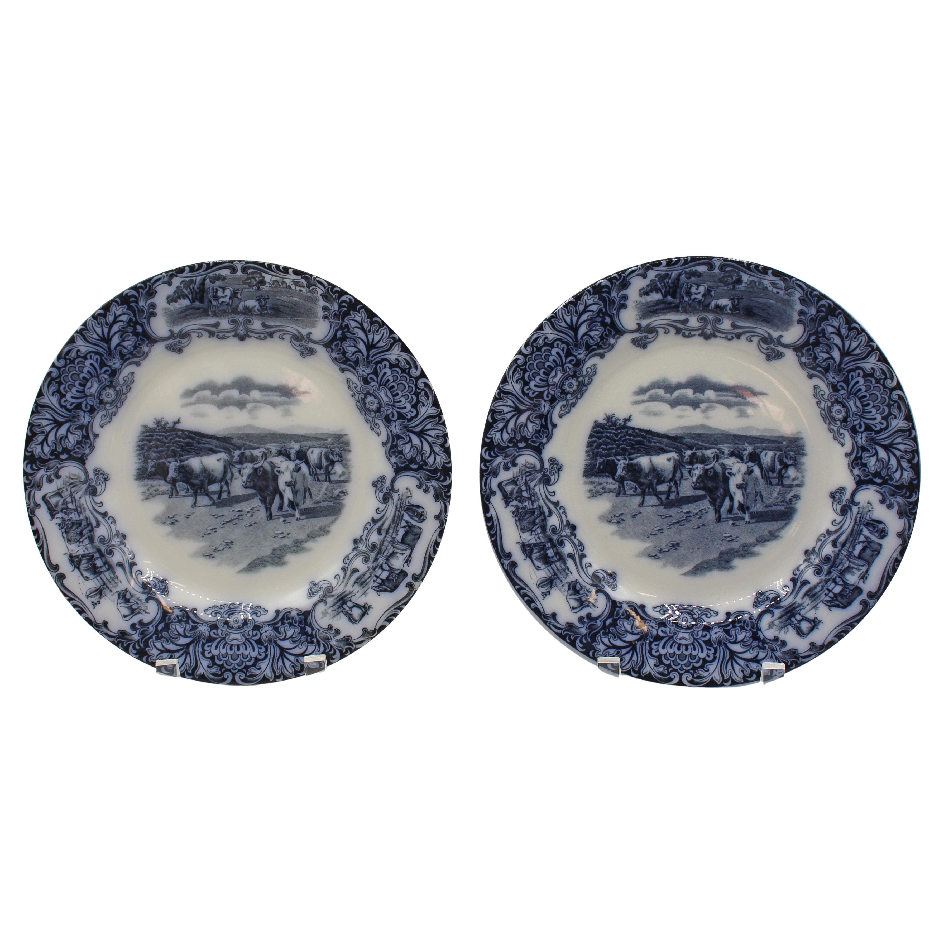 C. 1908 Pair of English Wedgwood Cows Flow Blue Pattern Plates