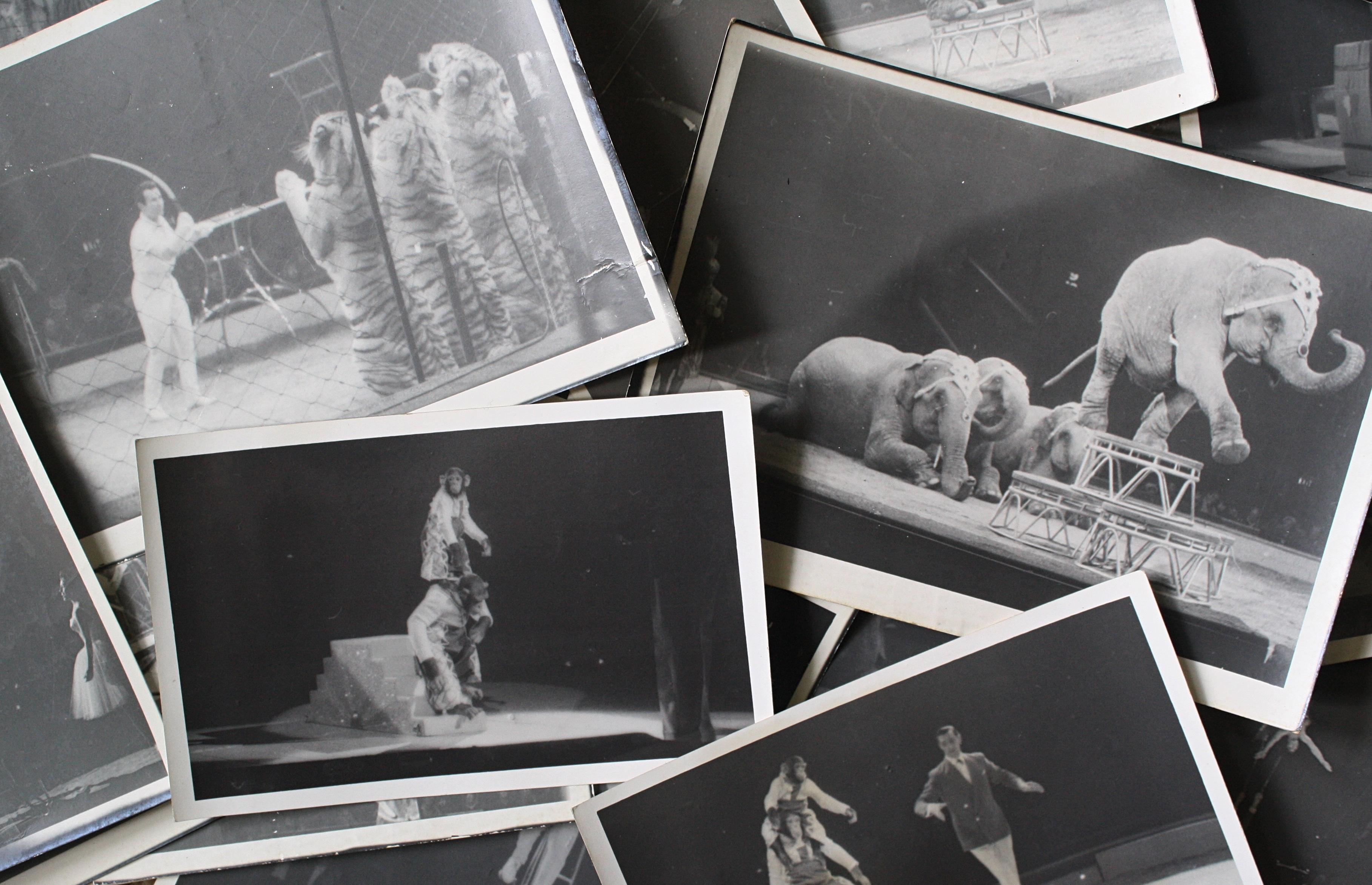 Circus Gelatin Silver Prints Photography in the Manner of Kurt Hutton circa 1940 9