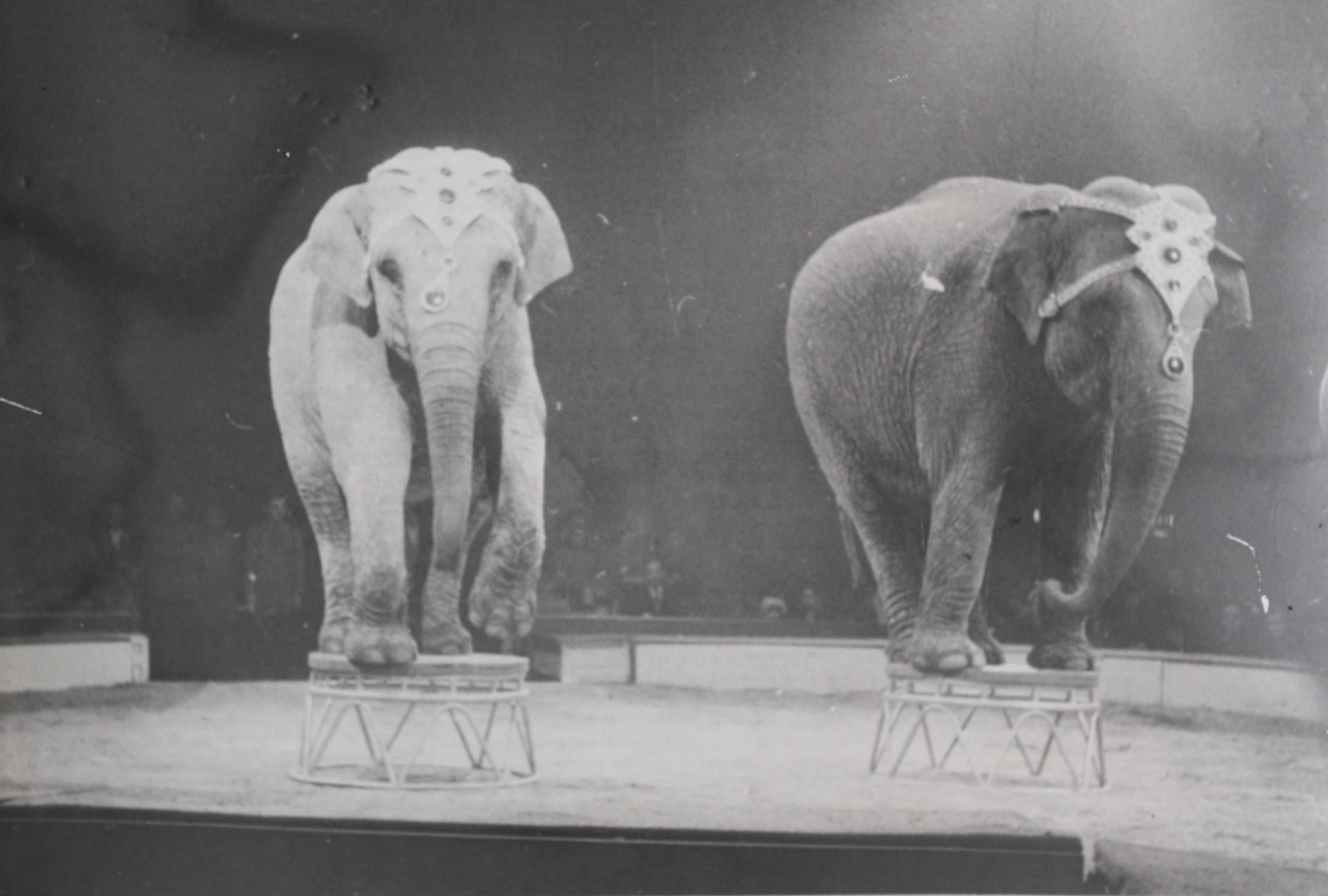 20th Century Circus Gelatin Silver Prints Photography in the Manner of Kurt Hutton circa 1940