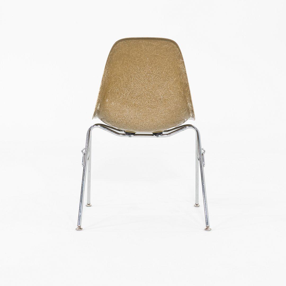 Américain C. 2018 Ensemble de trois chaises d'appoint / de salle à manger empilables Eames Modernica en fibre de verre. en vente