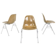 C. 2018 Set of Three Eames Modernica Stacking Side/Dining Chairs in Fiberglass