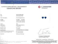 C. Dunaigre Blue Sapphire Heart Cut Diamond Cluster Earrings