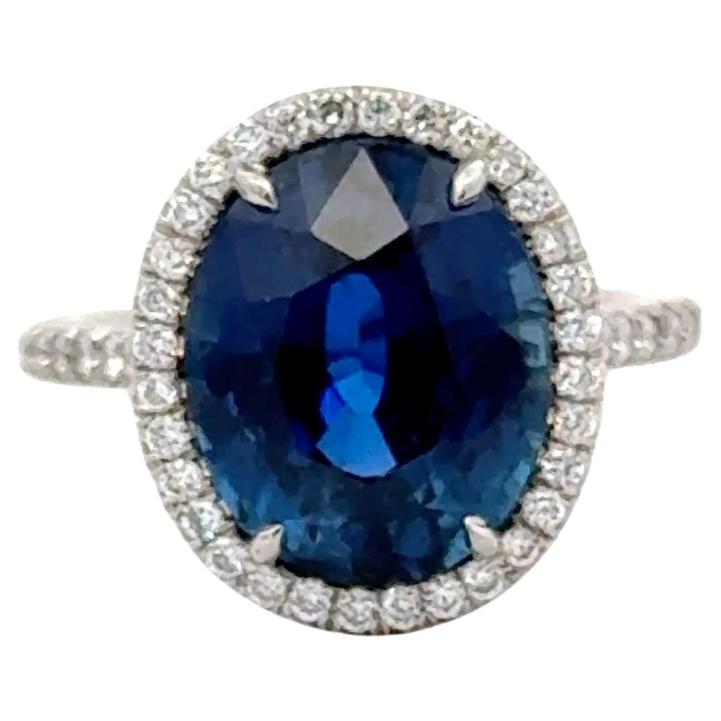C. DUNAIGRE Oval Sapphire Diamond Halo Cocktail Ring 6.85 Carats Platinum