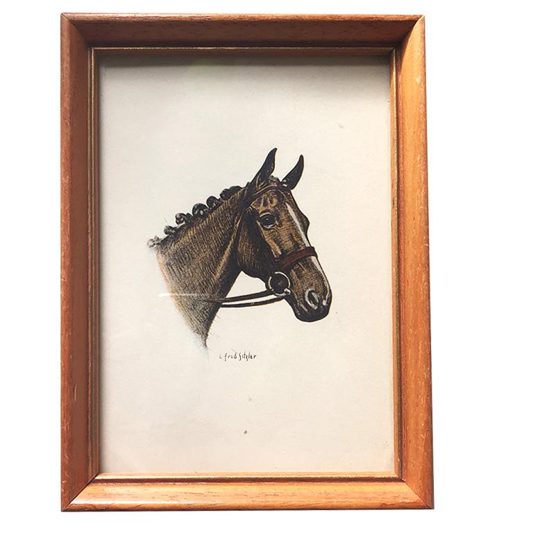 C Fred Sitzler Framed Portrait of a Horse for Gallery Wall in Wood Frame