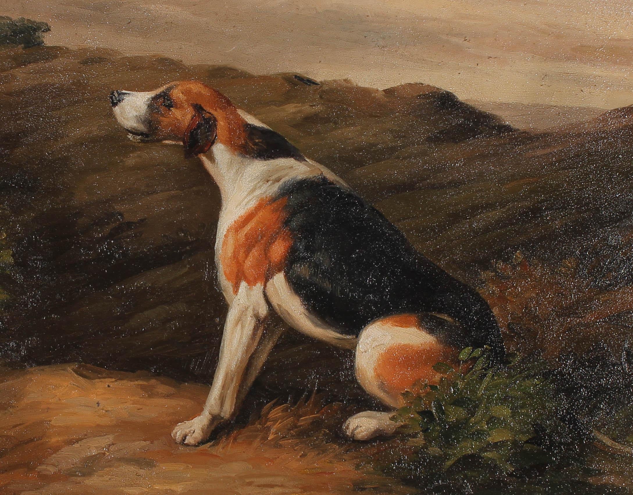 Attribué. Huile encadrée du début du 20e siècle représentant un chien dans un paysage, par C. Harrison 3