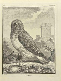 La Buse - Etching by C. Haussard - 1771