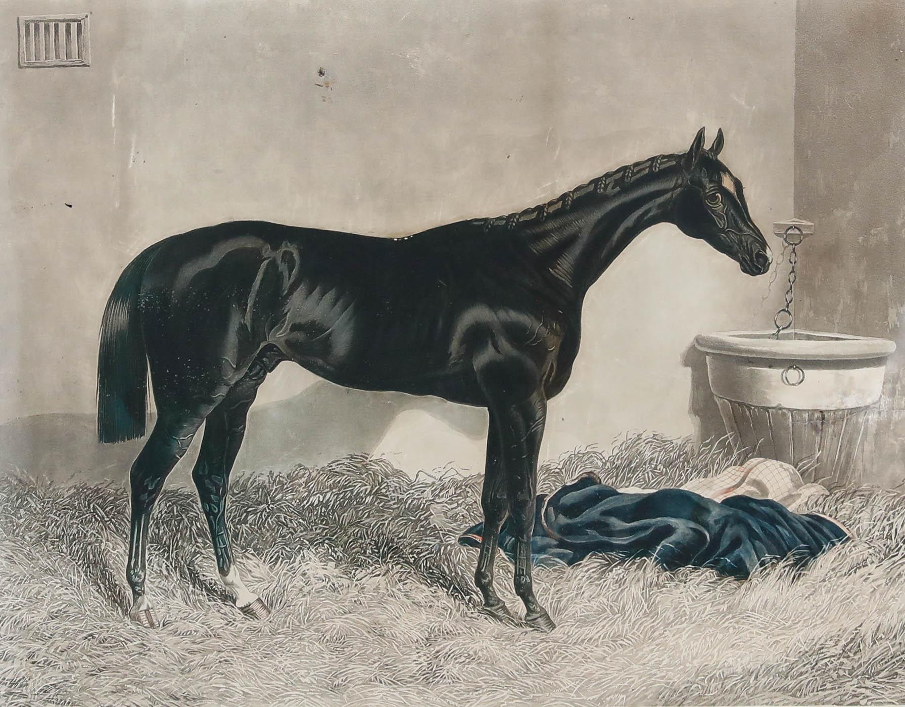C. Hunt (1803-1877) after J.F. Herring (1795-1865) - Aquatint, The Baron For Sale 1