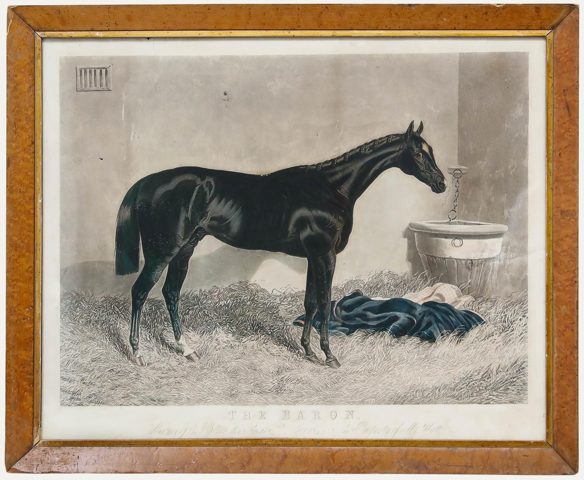 A fine etching by Charles Hunt (1803-1877) and coloured using aquatint by C. Simpson after a painting by John Frederick Herring (1795-1865). It depicts The Baron, a Thoroughbred racehorse and "winner of the Doncaster Great St Leger 1845." Well