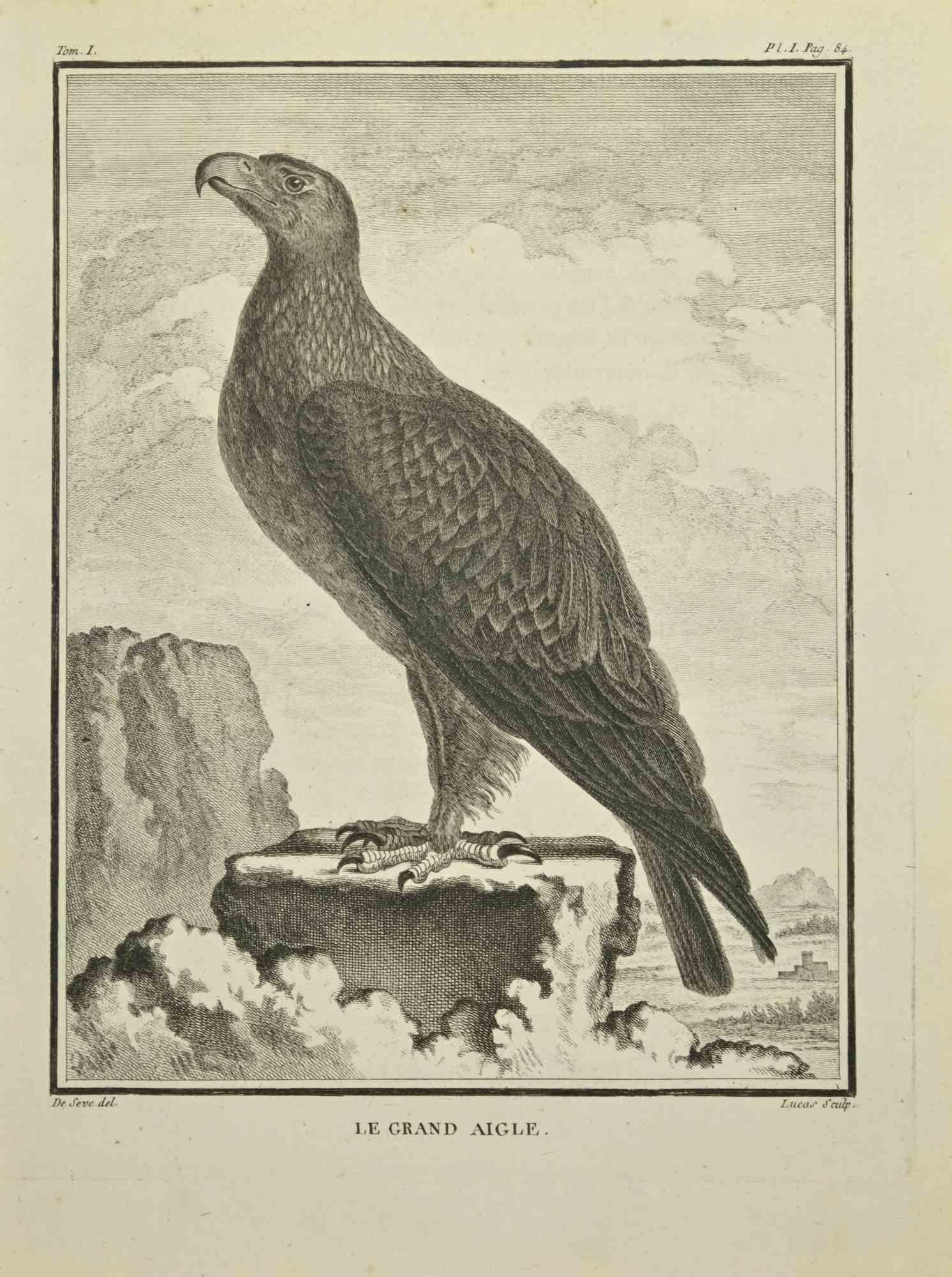 Le Grand Aigle - Etching by C. Lucas- 1771 For Sale 1