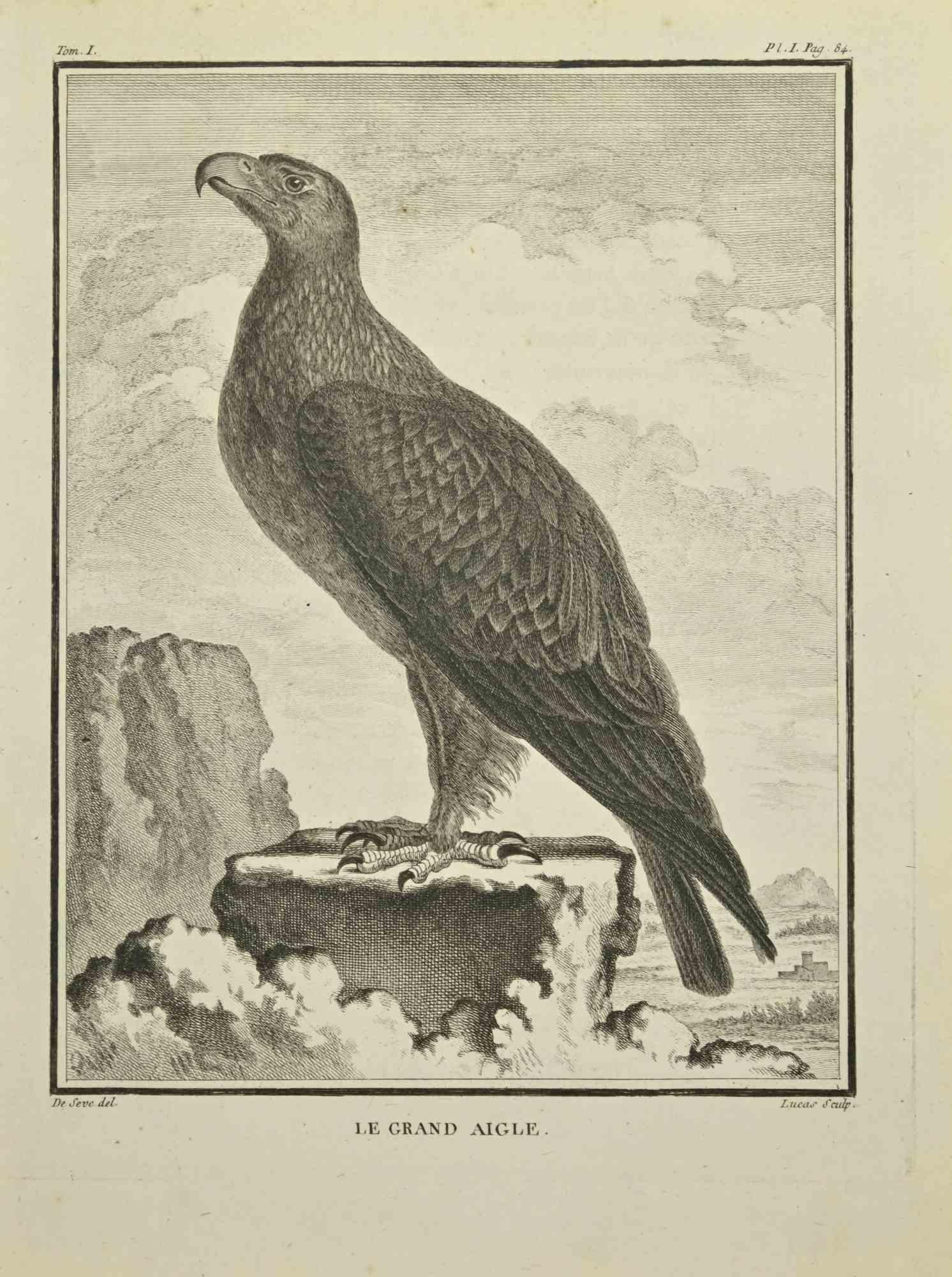 Le Grand Aigle – Radierung von C. Lucas – 1771 im Angebot 1