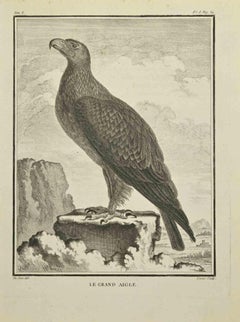 Le Grand Aigle - Etching by C. Lucas- 1771